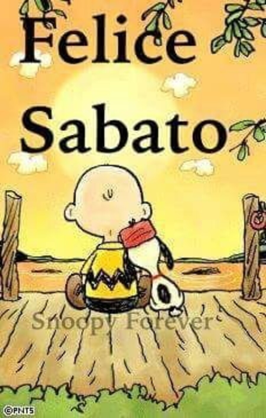 Buon Sabato Snoopy (1)
