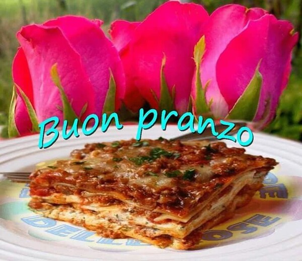 Oggi lasagne Buon Pranzo (2)