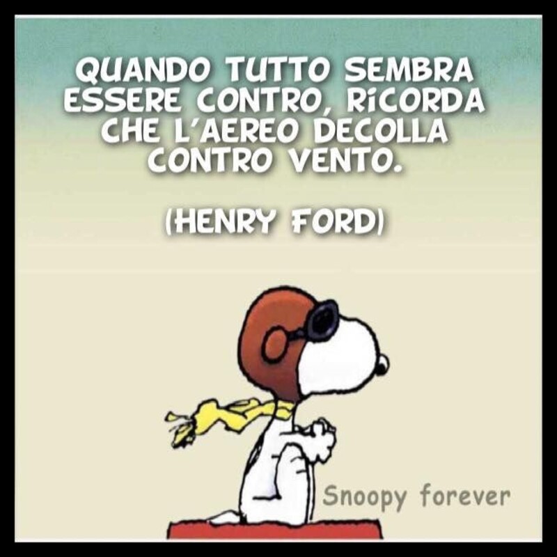 Snoopy (10)