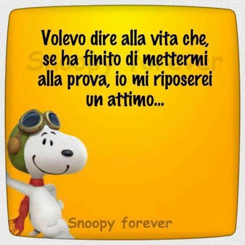 Snoopy aforismi (10)