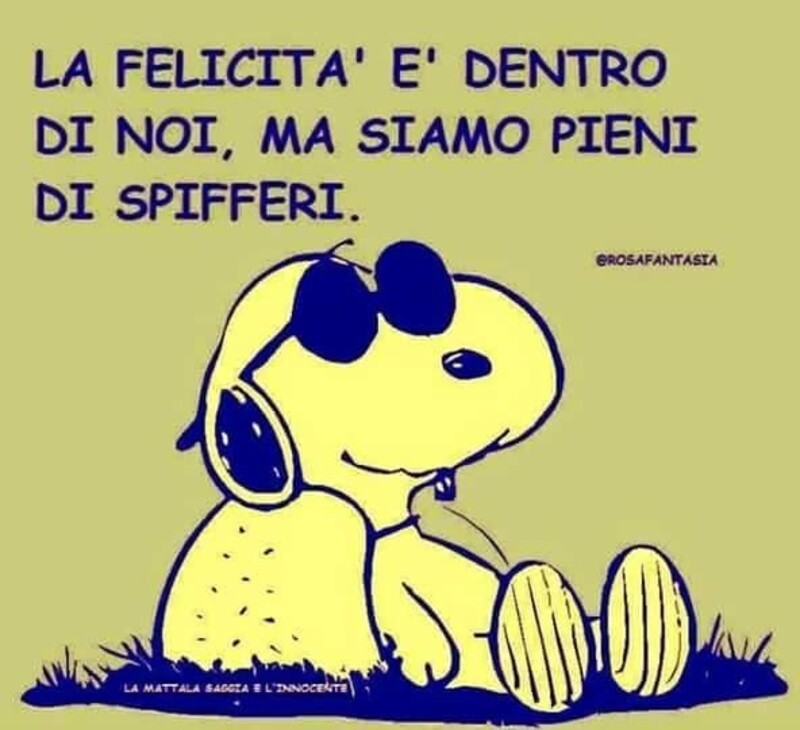 Snoopy e la felicità (1)