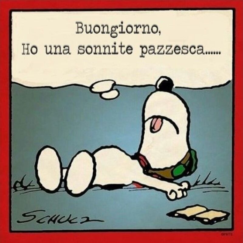 Vignette del Buongiorno con Snoopy (4)
