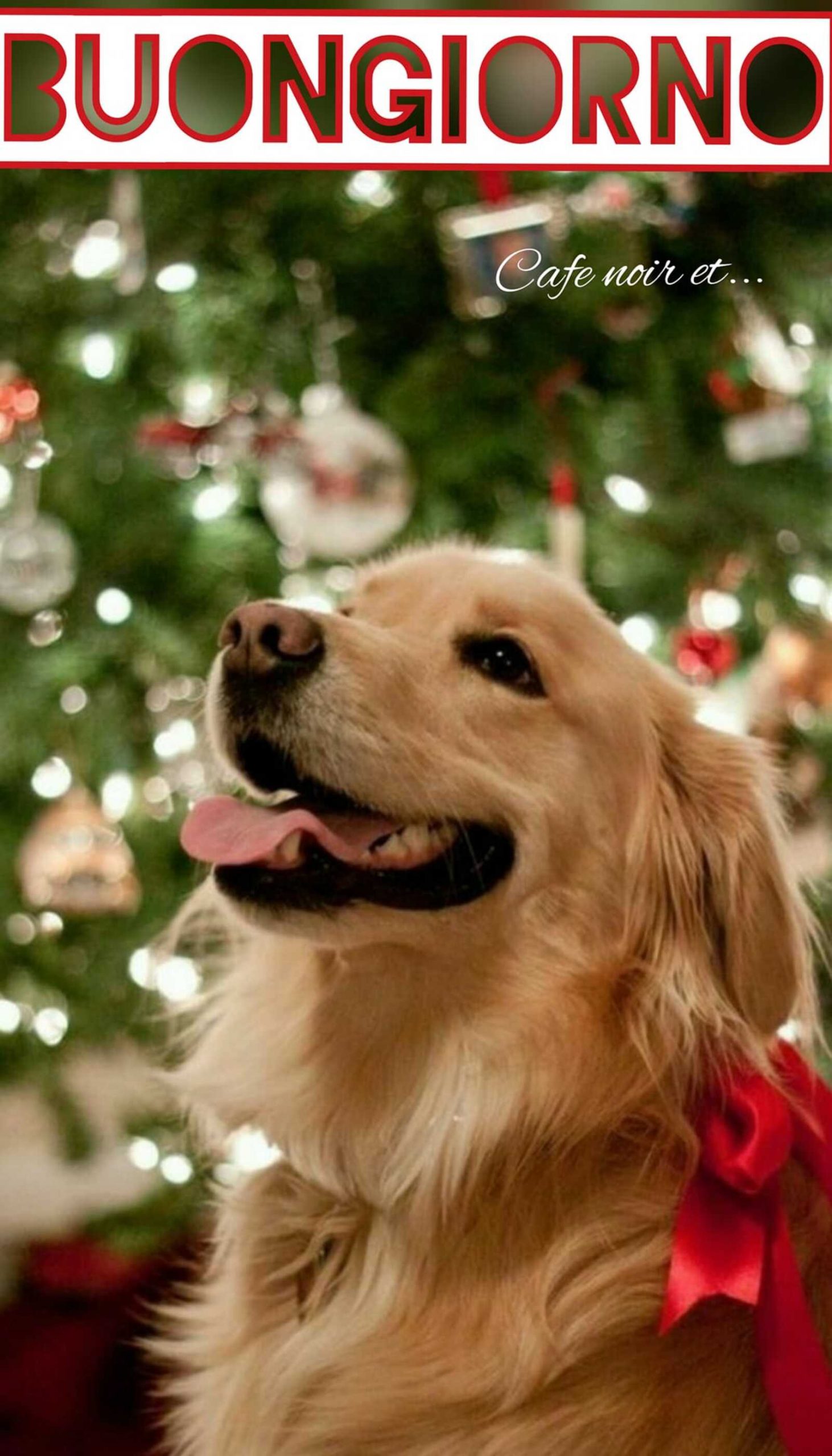 Buongiorno cane e albero di Natale